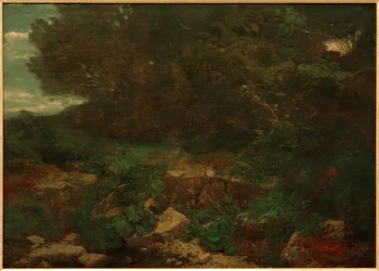 Au bord de la forêt